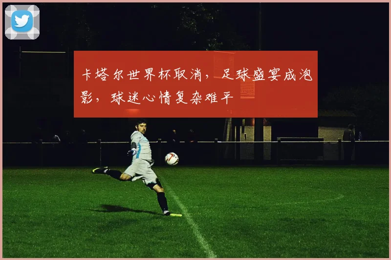 卡塔尔世界杯取消，足球盛宴成泡影，球迷心情复杂难平
