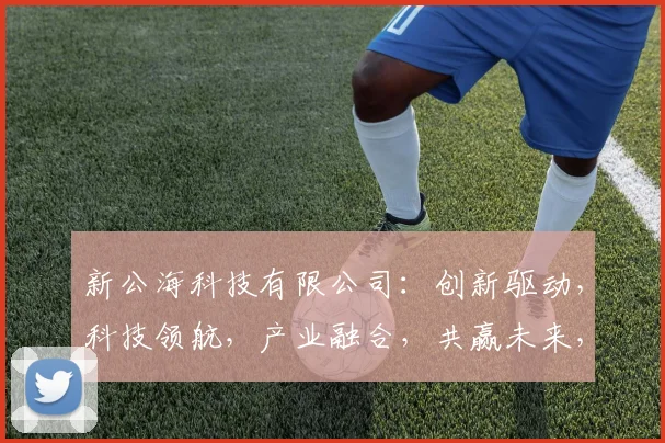 新公海科技有限公司：创新驱动，科技领航，产业融合，共赢未来，助力企业腾飞之路