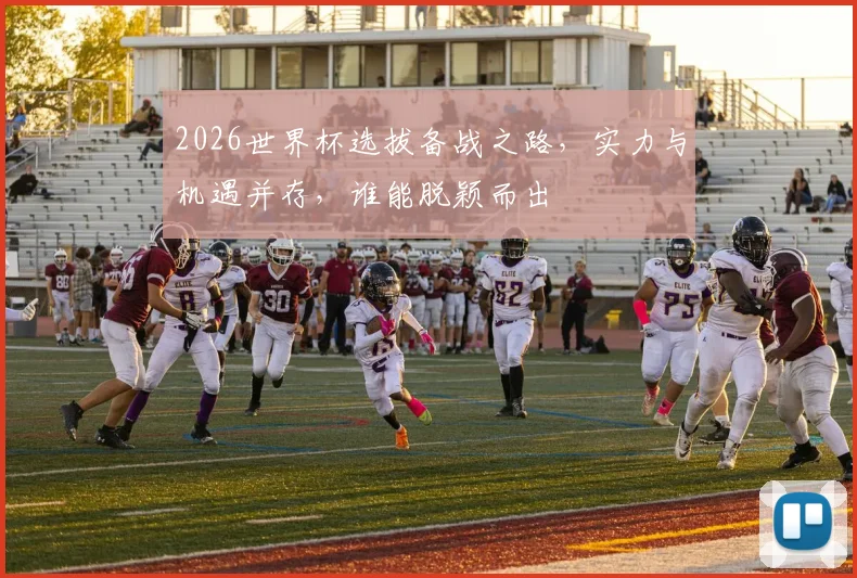 2026世界杯选拔备战之路，实力与机遇并存，谁能脱颖而出