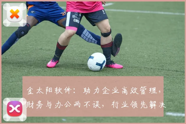 金太阳软件：助力企业高效管理，财务与办公两不误，行业领先解决方案
