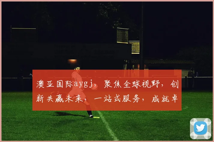澳亚国际aygj，聚焦全球视野，创新共赢未来，一站式服务，成就卓越企业