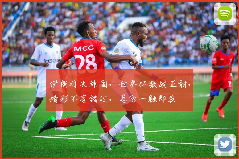 伊朗对决韩国，世界杯激战正酣，精彩不容错过，悬念一触即发