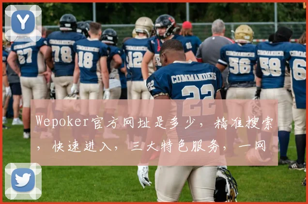 Wepoker官方网址是多少，精准搜索，快速进入，三大特色服务，一网打尽